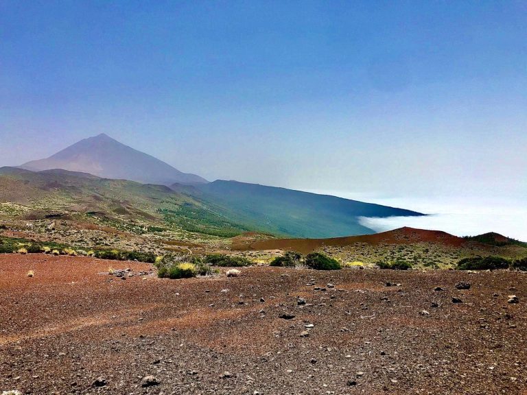 abogados tenerife